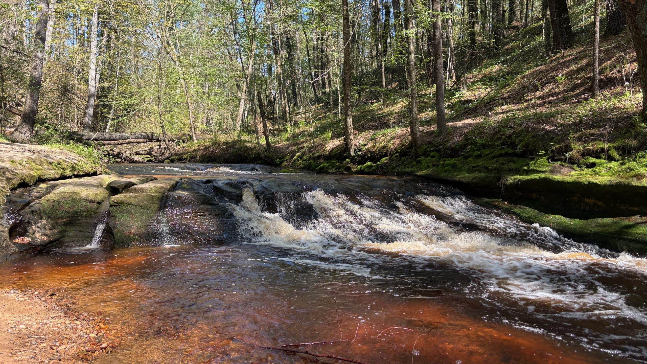 Perry Creek Pedometry
